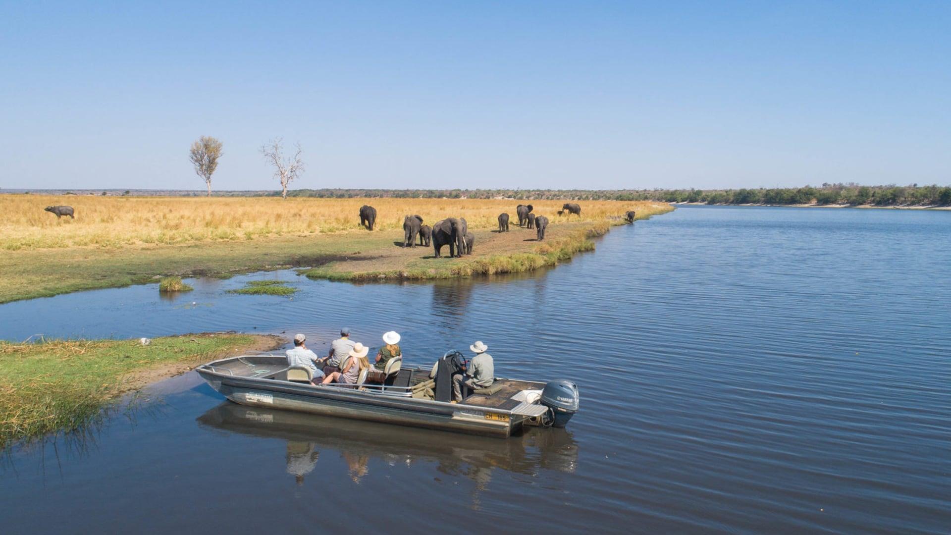 Desert, Delta and Chobe Safari